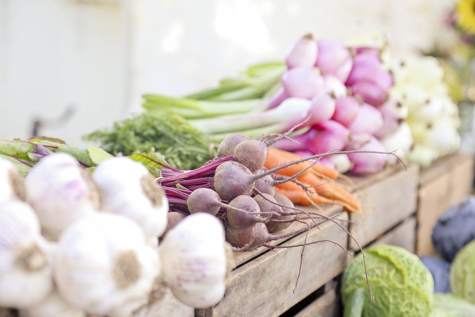 Vegetables in the Farmers Market