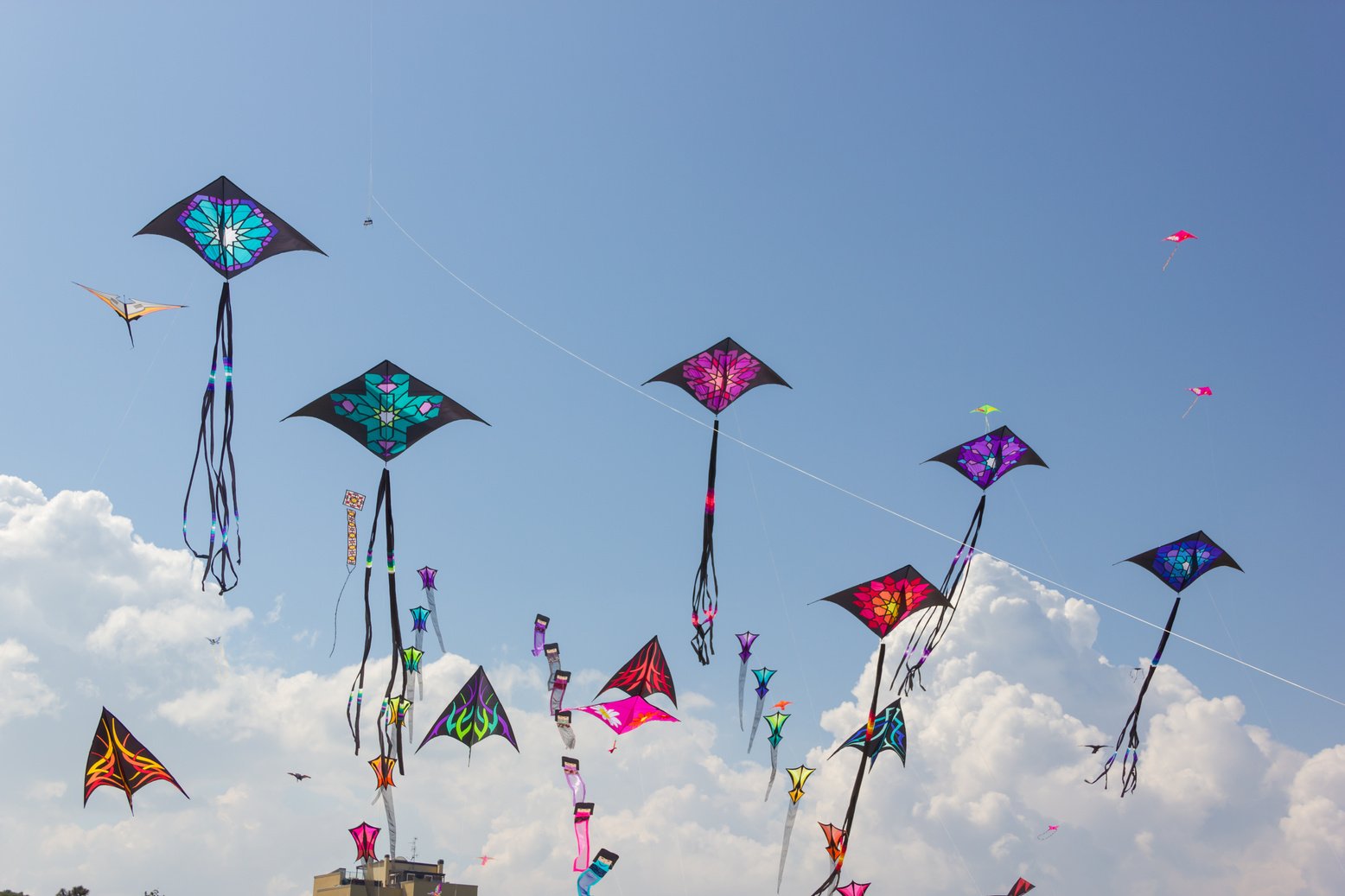 Kite festival