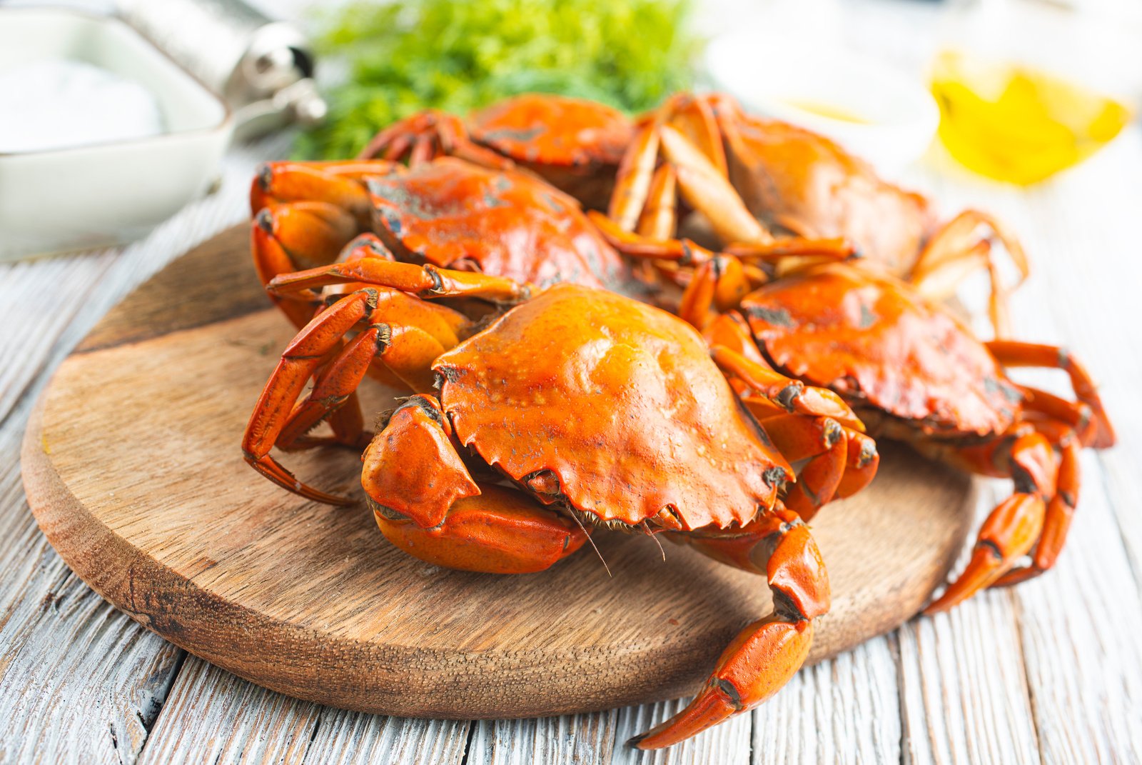 Boiled Crab